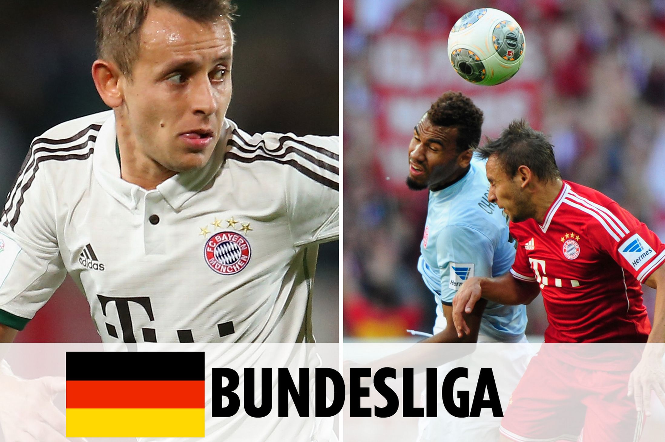 森林狼与雄 森林狼与雄